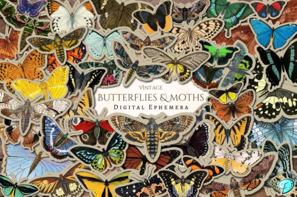 Download Vintage Butterflies and Moths Ephemera - Butterflies Collection